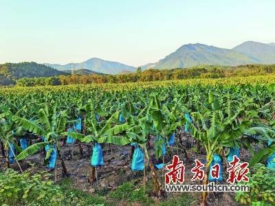 荒地设计方案范文[荒地建设要什么手续]