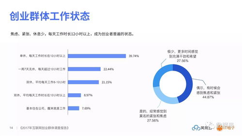 桔子seo查询,桔子网络科技有限公司 做什么的