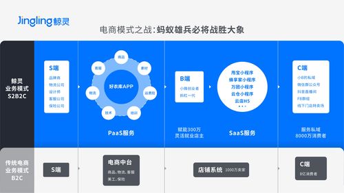 网站开发公司云鲸互创实惠,云鲸公司介绍