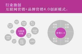 全网营销策划公司,营销策划全网推广