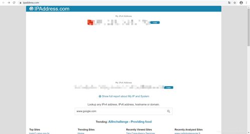 网站域名ip查询,网站域名ip查询官网