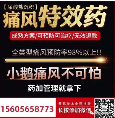 发布招聘信息免费的网站,招聘网最新招聘2023