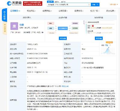 中国查公司的网站,国内公司查询