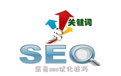 中央网站seo,中央级网站排序