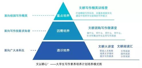 品牌建设包括哪几方面,品牌建设有哪些主要阶段及步骤