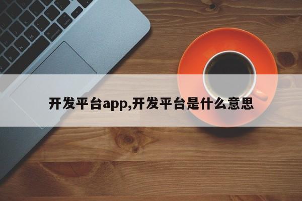 开发平台app,开发平台是什么意思