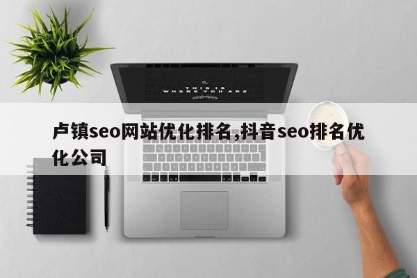 卢镇seo网站优化排名,抖音seo排名优化公司